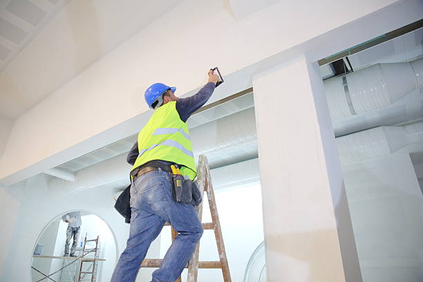 Best Mold Odor Removal Services  in White Oak, TX